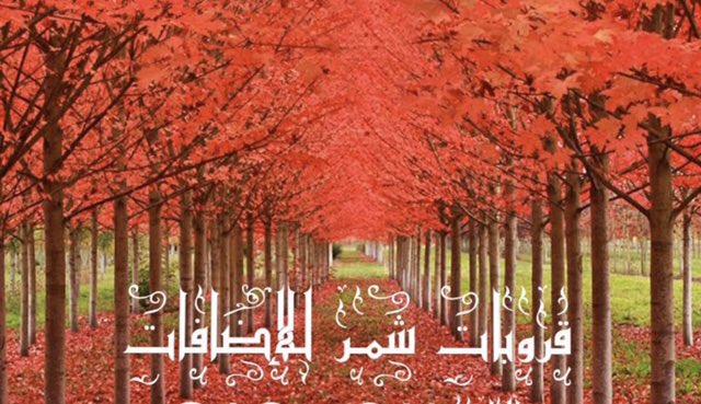عبدالله tweet media