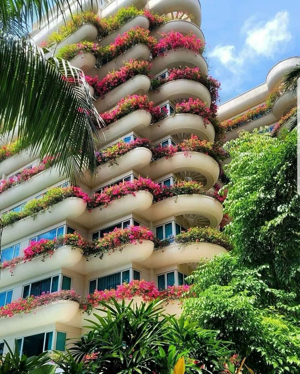 CivilengineerRc's tweet photo. The Beauty Of Singapore...

Follow Us @CivilengineerRc

#civilengineerrc #thinksoflove  #civilengineer #civilengineering #usa #usa #uk #uk #canada  #canada #german #Australia #Denmark #Belgium #newzealand #Netherlands #singapore #sweden #london #newyork #NewYorkCity #california https://t.co/gmIwLPLQ7F