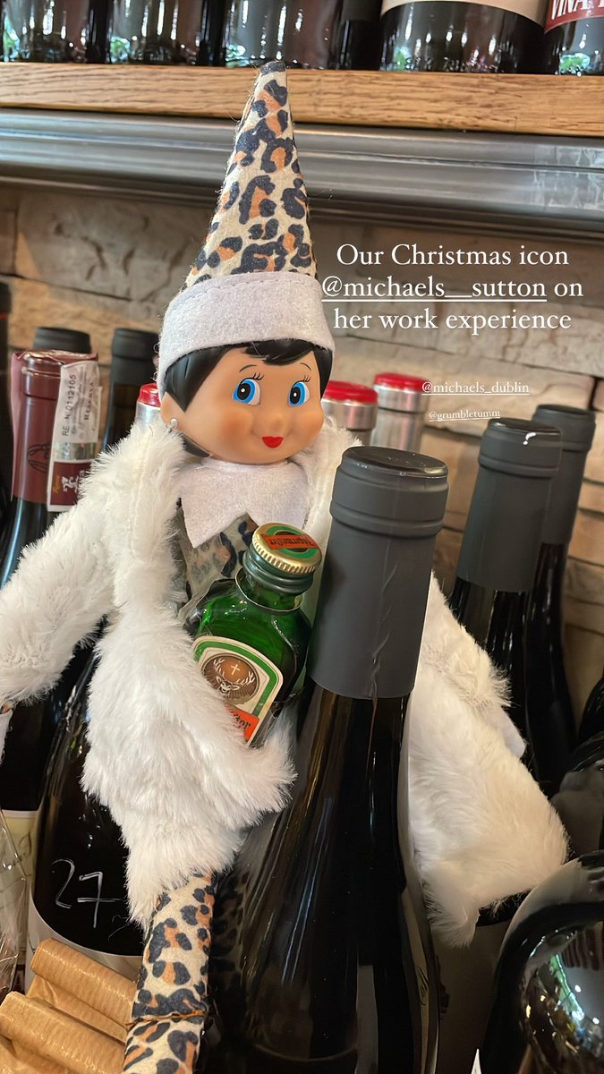jules_mahon's tweet photo. Welcome @TheDublinJenn to the team ππ #elfontheshelf #leopardqueen https://t.co/2OWl7ubWkZ