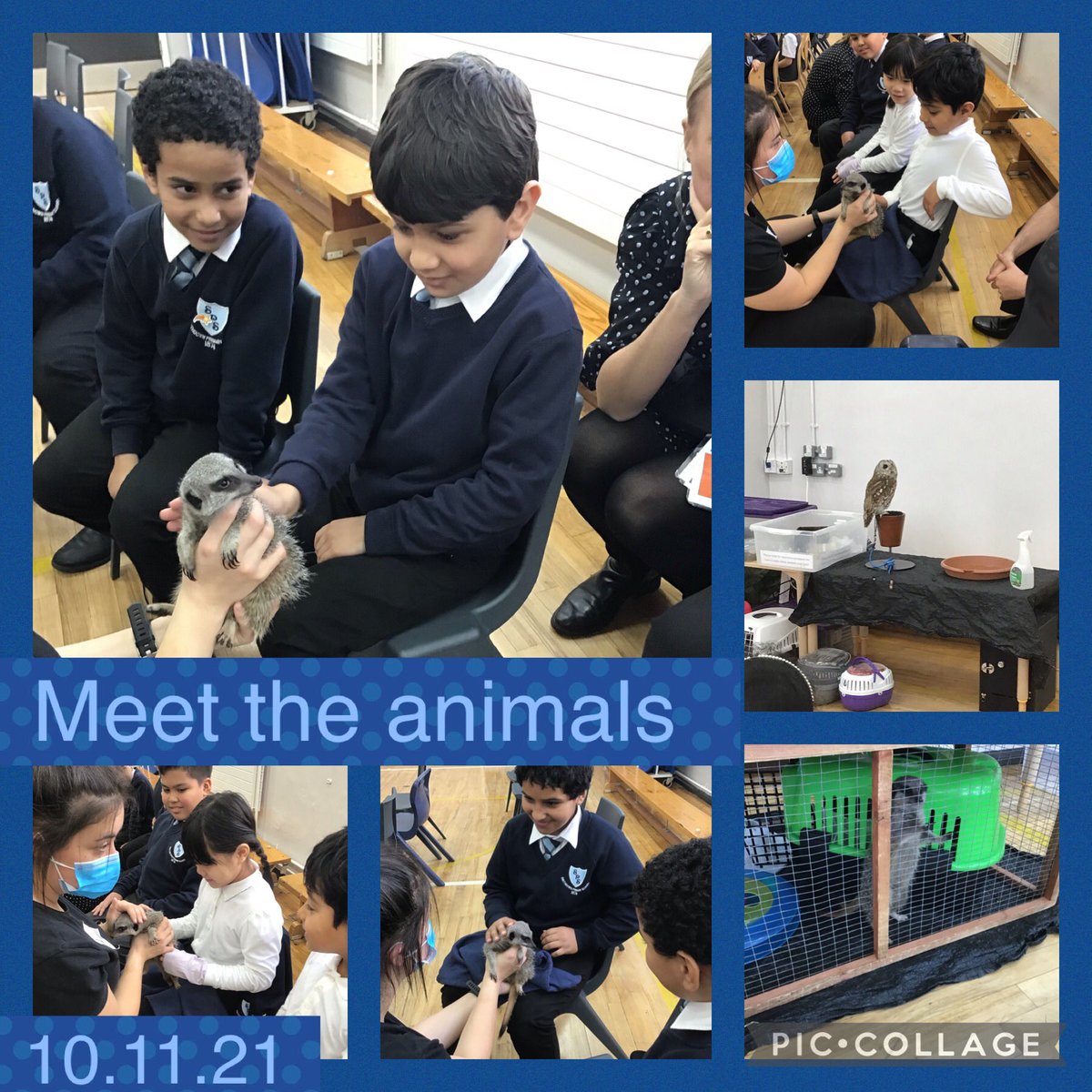 Smithdown Primary Language Support tweet media