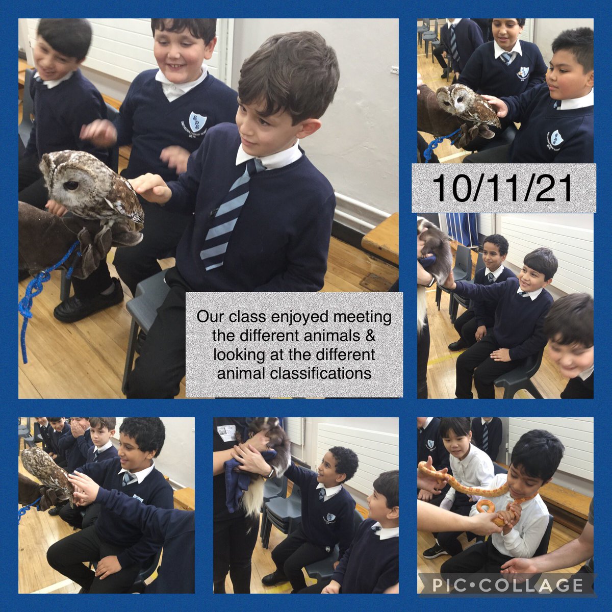 Smithdown Primary Language Support tweet media