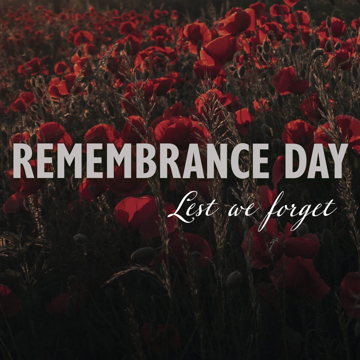 varsitycdj's tweet photo. Never ever forget what they gave us. We are living their dream. Observe this Remembrance Day with all respect in heart. https://t.co/HEgSlYENGW