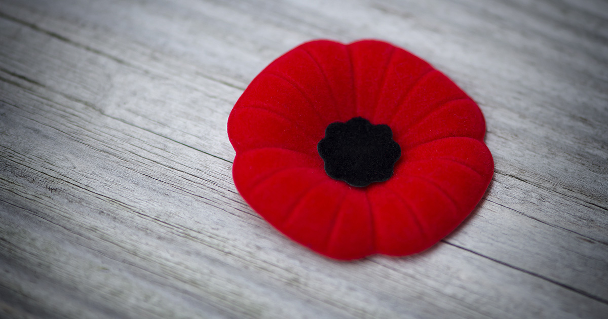 Today we pay tribute to members of the Canadian Armed Forces who fought to defend our values and freedoms, and to those who continue to serve our country today.

#RemembranceDay