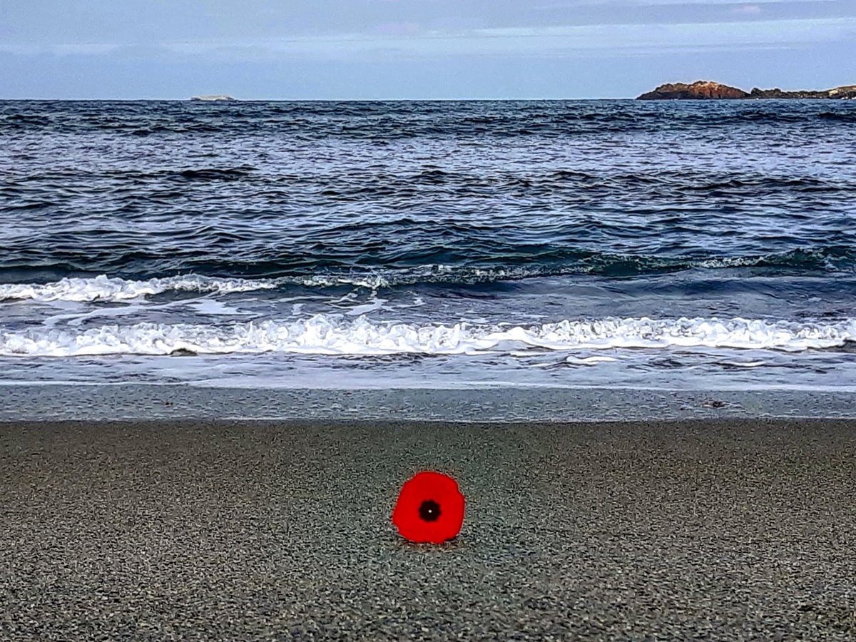 GrayMarker99's tweet photo. A photo from last year on this date.
May we never forget the sacrifice. #LestWeForget https://t.co/p3geJL4Xux
