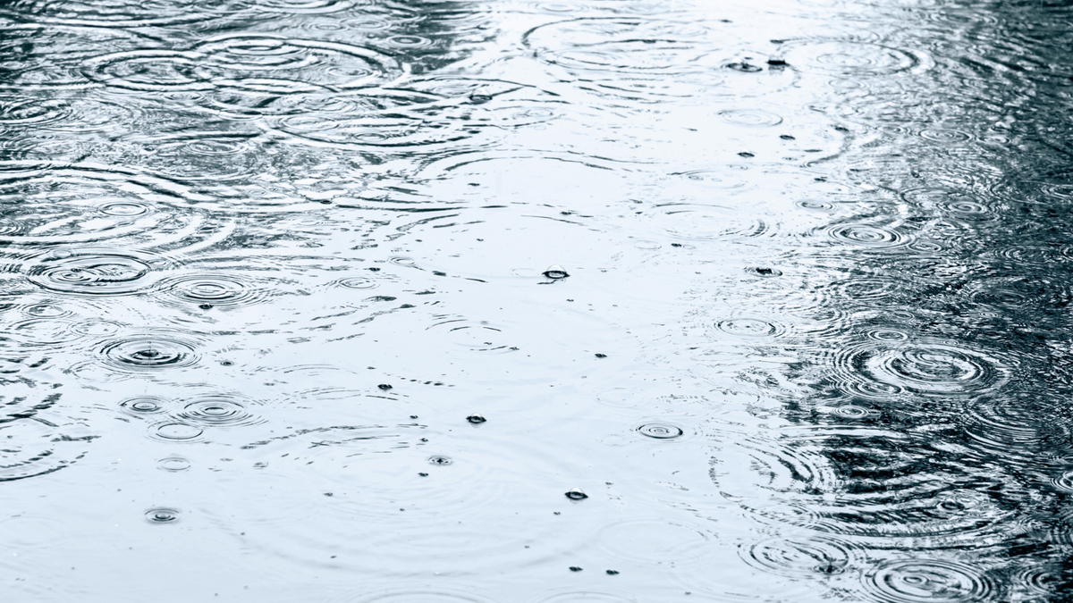 raiznerslania's tweet photo. If You Own Property in a Flood-Prone Area, Be Sure You Know The Differences Between #HurricaneInsurance and #FloodInsurance: https://t.co/gXvznJgIas #InsuranceLaw #PropertyDamage https://t.co/Gc5nU9vTFO