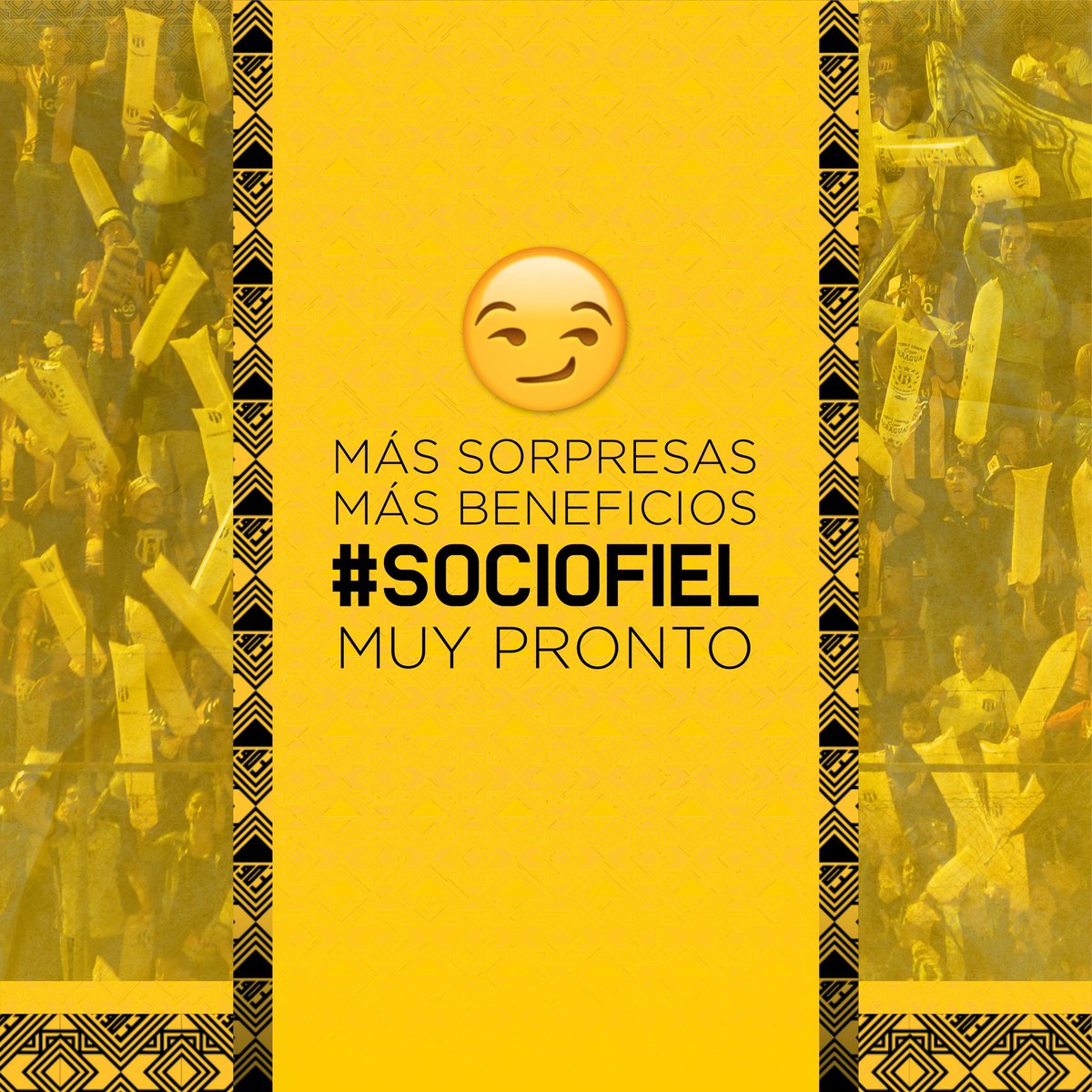 Club Guarani tweet media