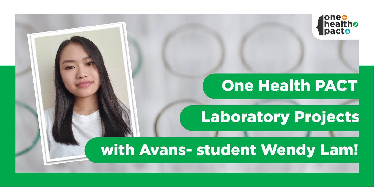 OneHealthPact's tweet photo. In the upcoming half year, sixteen 3rd year Biology and Laboratorial Research students from @AvansHogeschool will work on One Health PAC-related projects under the supervision of several OHP-researchers and Phd’s: meet Wendy Lam! https://t.co/rbvk5Gt7Xs 
#onehealthpact #onehealth https://t.co/xPD7bS84LX