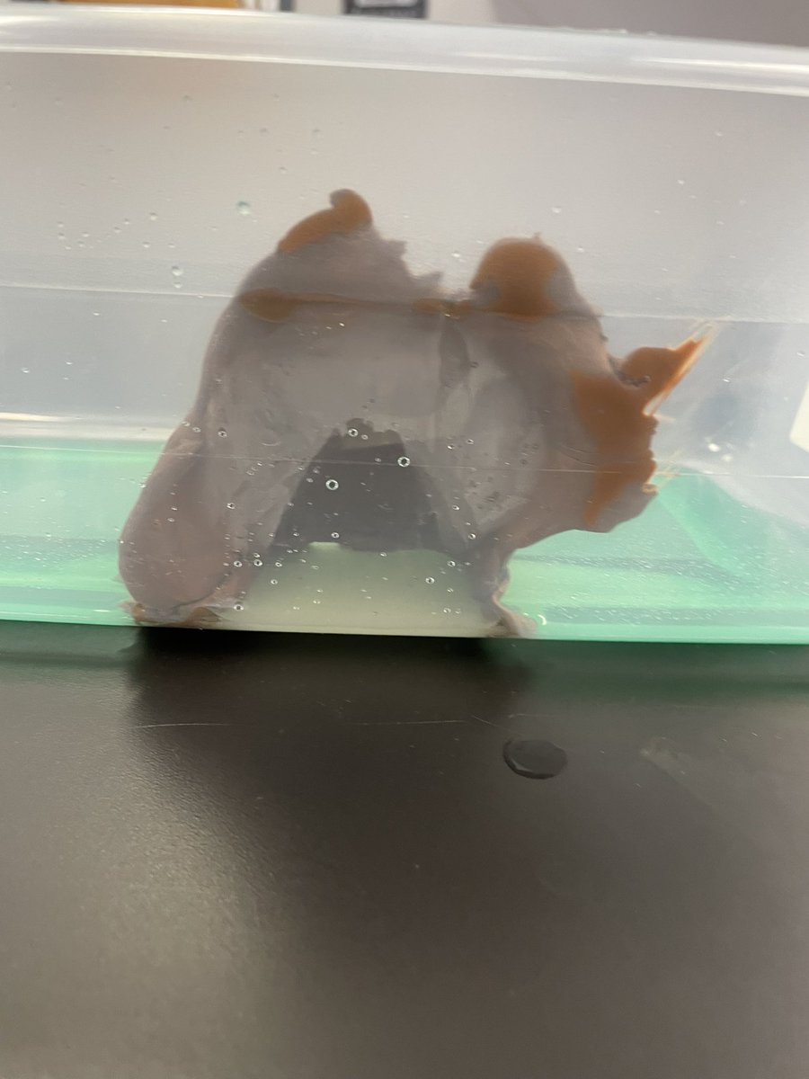 Hangin’ with Ms. Cooper tweet media