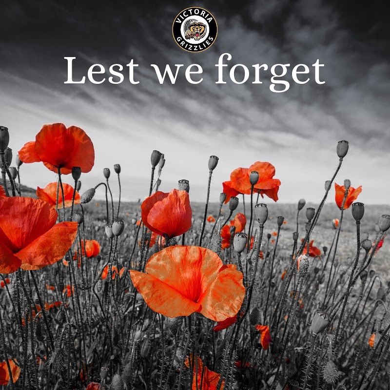 BCHLGrizzlies's tweet photo. The Victoria Grizzlies office is closed today in observance of Remembrance Day. Please take the time to honour those who have sacrificed for our peace and freedom and continue to serve selflessly to achieve peace.  

#lestweforget 🌺
#remembranceday2021
#canadaremembers🇨🇦 https://t.co/4QrAD8I7Tj