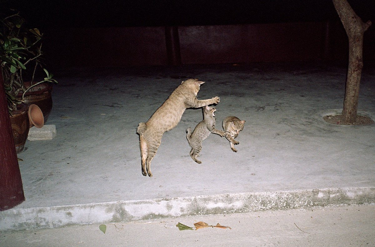 Got me a new website: alexdemora.com

if anyone is out there, have a look and stuff, ok thanks bye