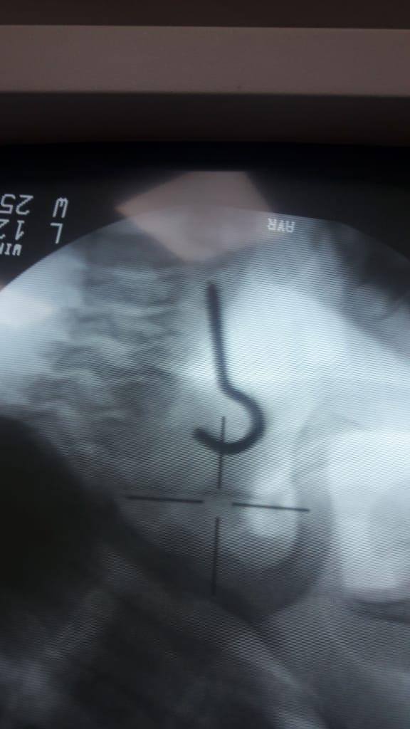 Kids Operating Room tweet media