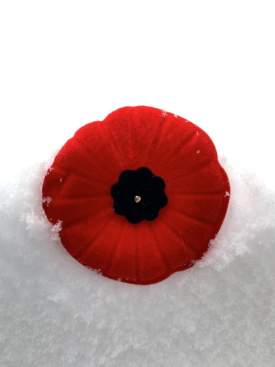 HoughtonBoston's tweet photo. Today we remember their sacrifices for our freedom. https://t.co/x6EWfqSXUD
