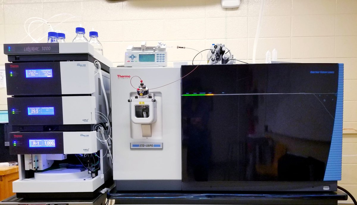 mechrefgroup's tweet photo. Thrilled to acquire Thermo Orbitrap Fusion Lumos! APD algorithm and the flexibility of available fragmentation techniques at any MSn stage enables enhanced experimental throughput and detailed structural characterization. Nothing to not love in our new lab member😍 @thermofisher https://t.co/a9mfZKJaBb