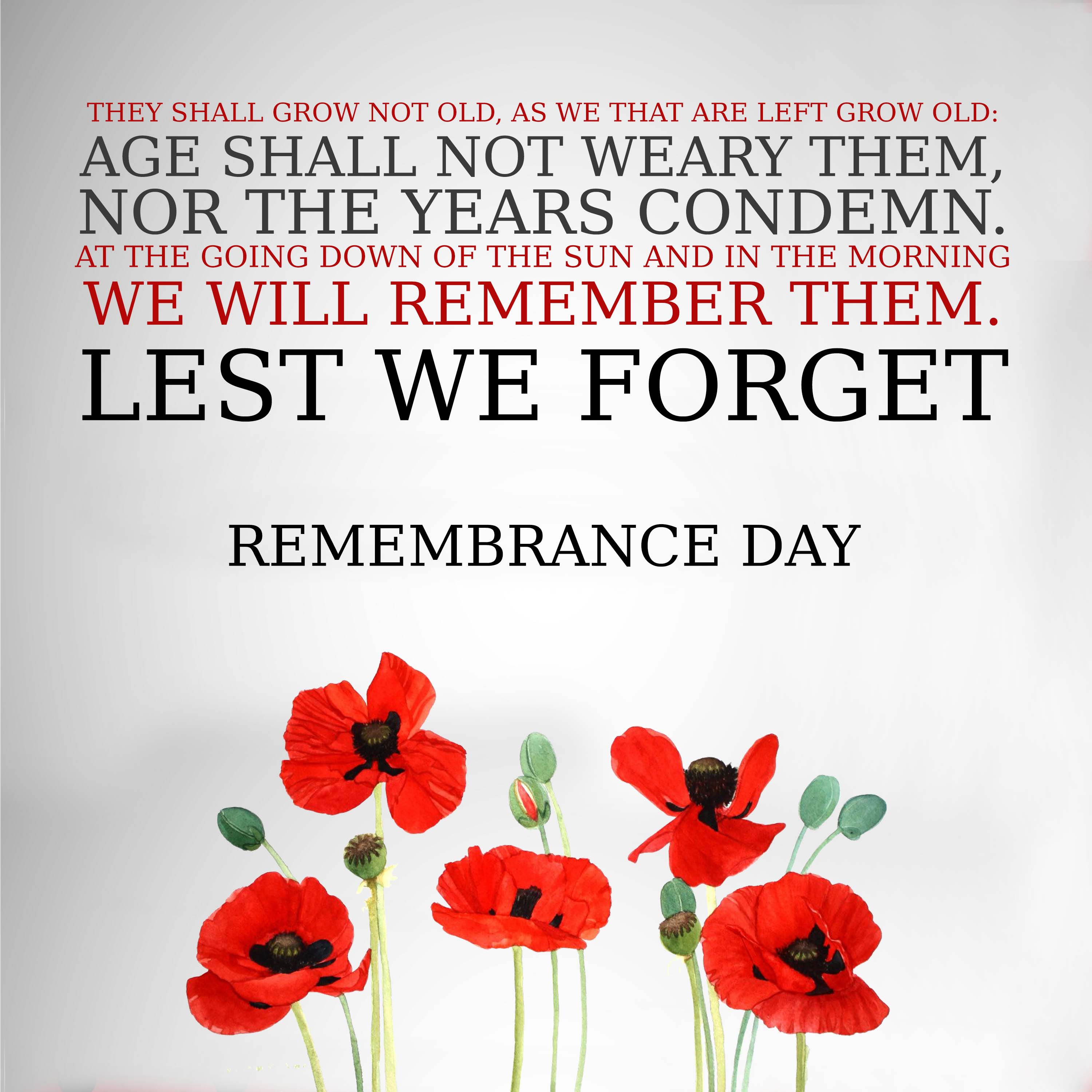 remembrance day quotes