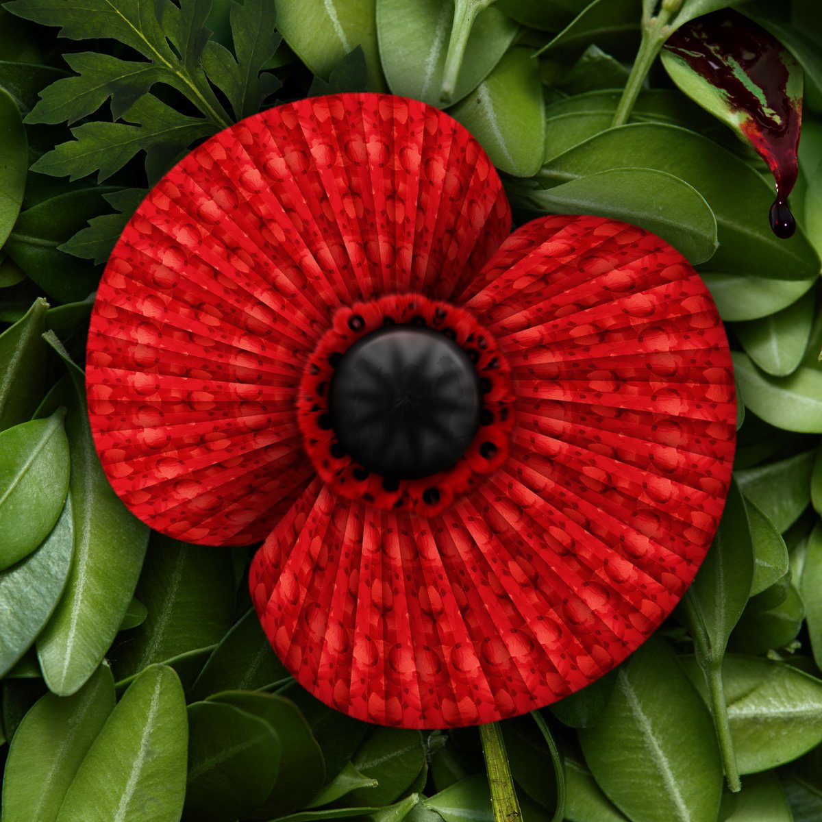 Phil_Calam's tweet photo. Lest We Forget
#ArmisticeDay #RemembranceDay #RemembranceDay2021 #RemembranceSunday #VeteransDay2021 https://t.co/XWEWtsV2zQ