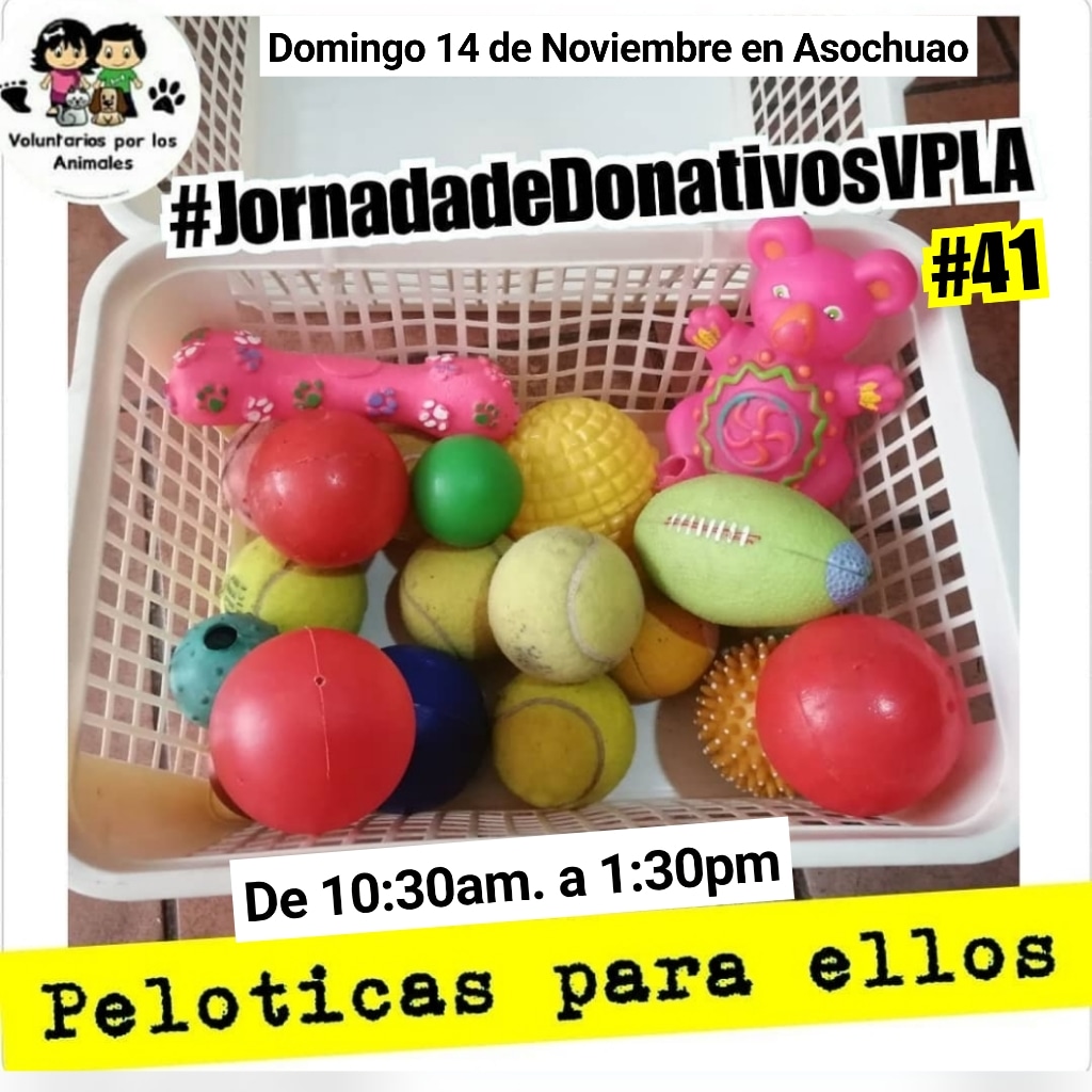 asoc_vpla's tweet photo. ¿Tienes pelotas usadas que puedas donar a los perritos? De Tenis 🥎, Futbolito ⚽, de peluche 🐶🐾💕Llévalas este DOM.14 a la #JornadadeDonativosVPLA de 10:30am a 1:30pm en Asochuao Diagonal al #HotelEurobuilding al lado de la Bomba/Gasolina #Chuao https://t.co/bnkorReG3o
