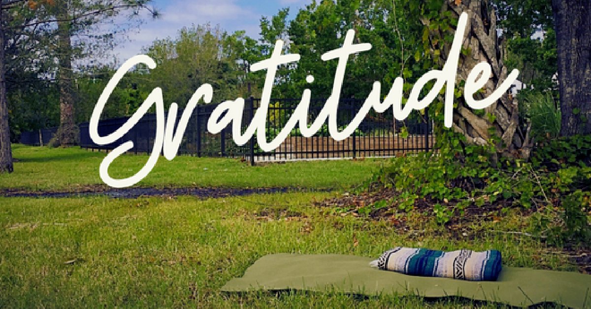 Did you read our latest news? 
Find out all that's happening at The Yoga Sanctuary by clicking here: conta.cc/3mPfhFG