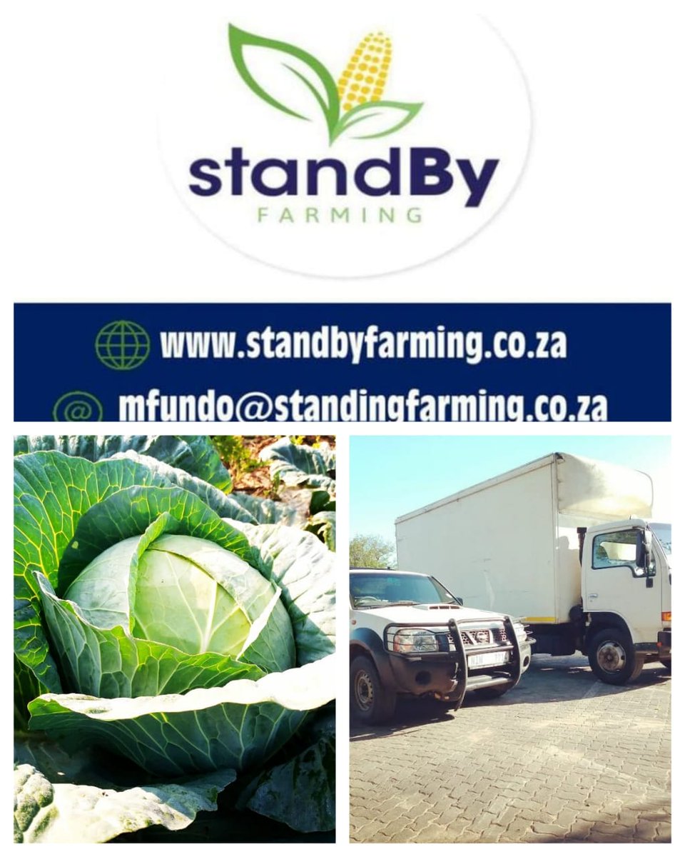 Sechaba standbyfarming tweet media