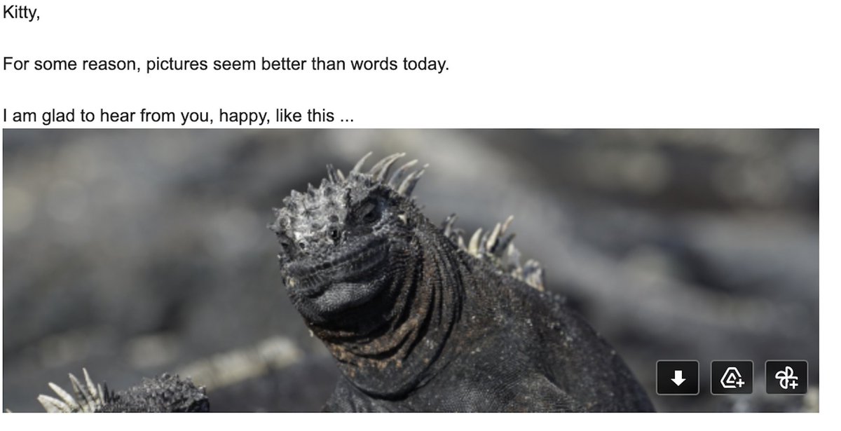 Kitty_H_Liu's tweet photo. My favorite emails from authors are the illustrated ones. 🦎💚 #amediting #somuchemail #bookpublishing #publishing #publishingproblems #herpetology #science https://t.co/gur4jcPYvd