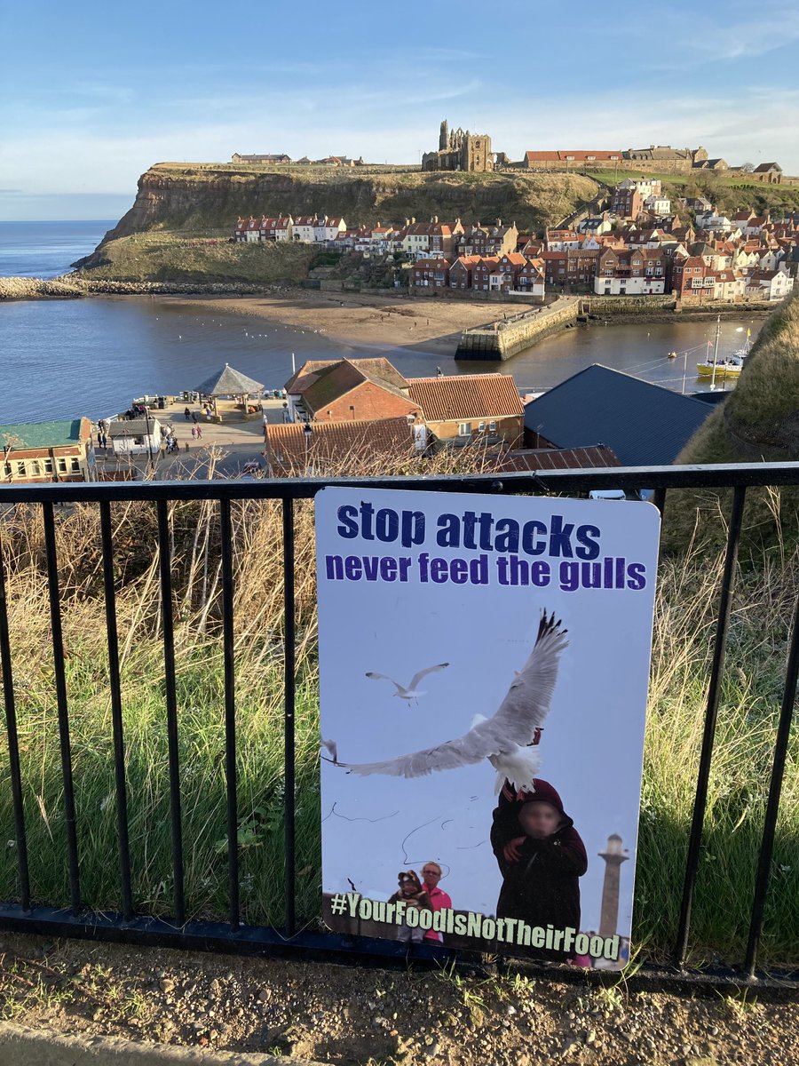 mrmarksteel's tweet photo. Beautiful place, Whitby. https://t.co/f4xizuro5L