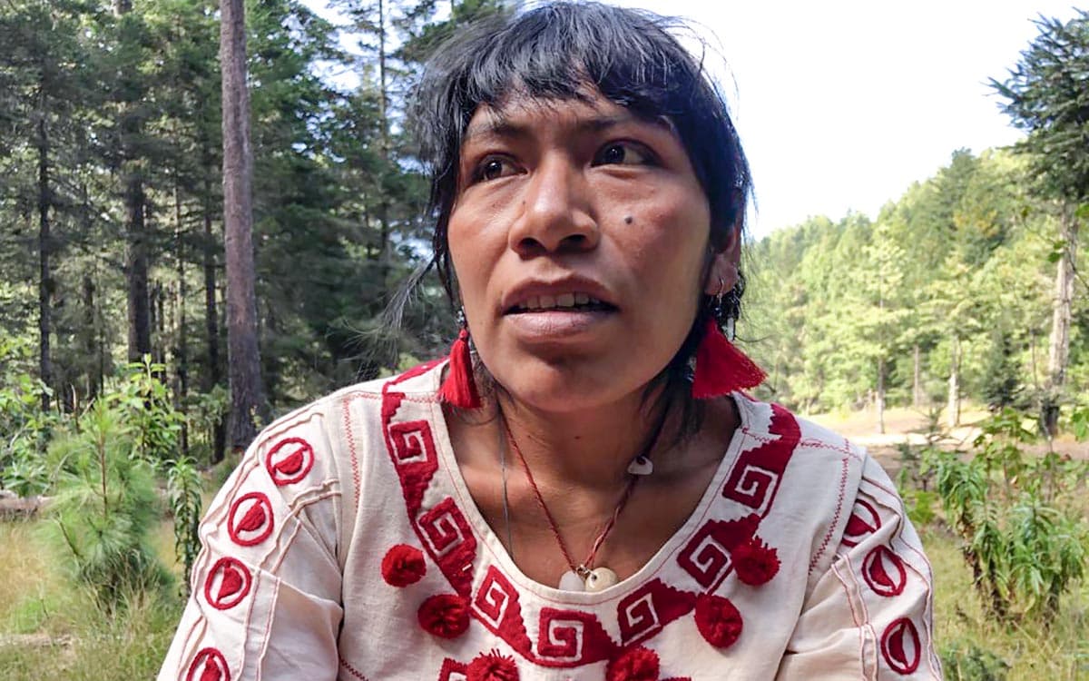 AristeguiOnline's tweet photo. Desaparece Irma Galindo Barrios, defensora mixteca del bosque en Oaxaca; Fiscalía emite alerta rosa
👉  https://t.co/oZgq3OS436 https://t.co/focsn7WSAs