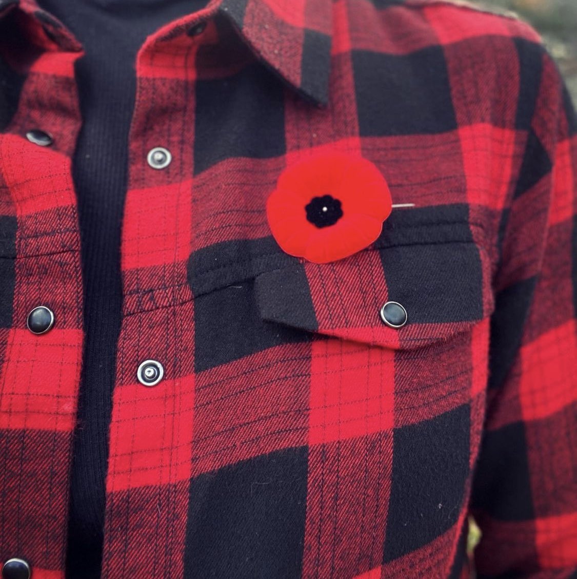 Lest We Forget 

#RemembranceDay2021