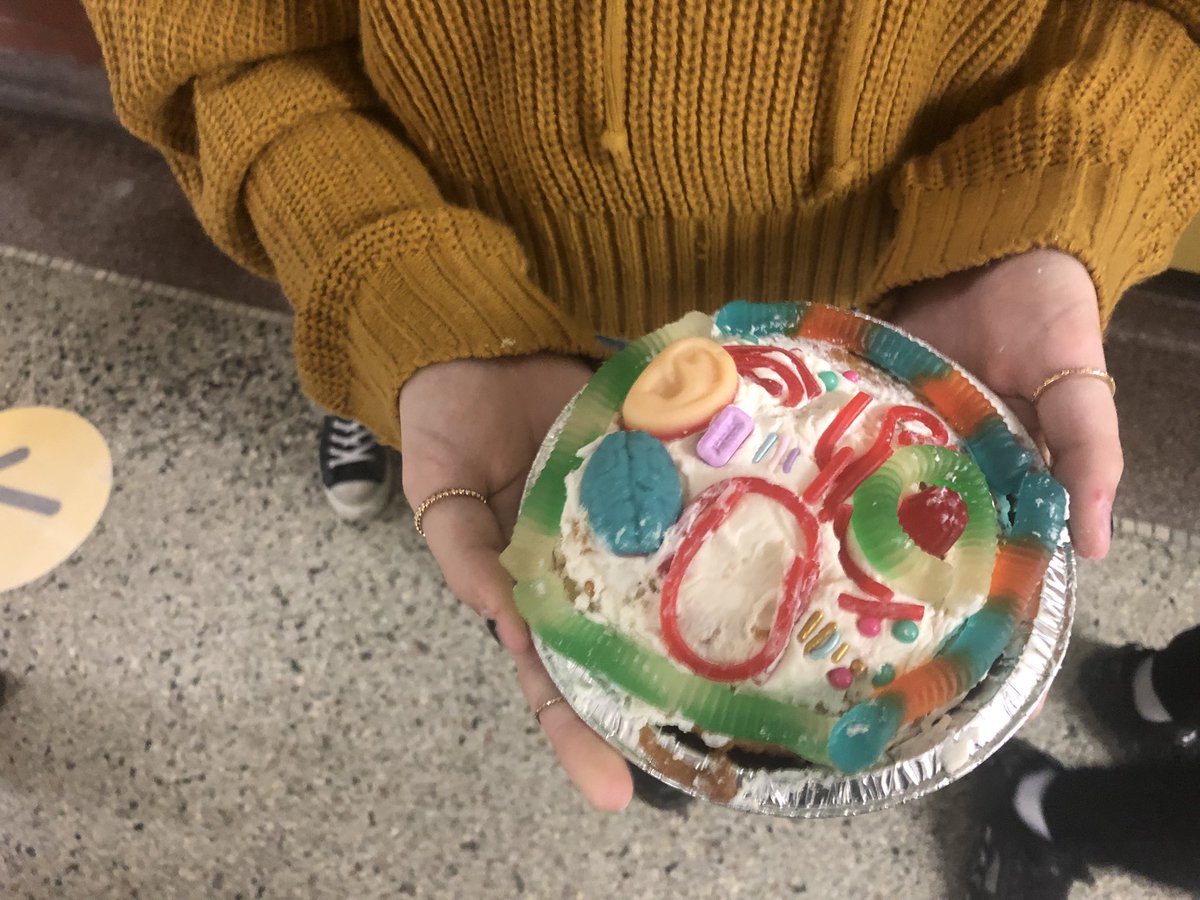 MmeReaume's tweet photo. The grade 8’s in 7/8 Reaume have been working on animal cells. Today they recreated an animal cell using a cake and candies to represent the organelles found in the cell. https://t.co/kLEFN9t8hi