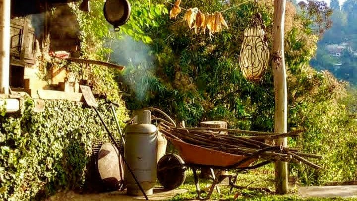 AnaVictoriaM1's tweet photo. A mi me encanta la pizza en horno a leña, tipo margarita  y comerla en un lugar de  montaña. 
¿Y a tí, cómo te gusta la pizza  y dónde la comerías? https://t.co/nE45AXuHOw