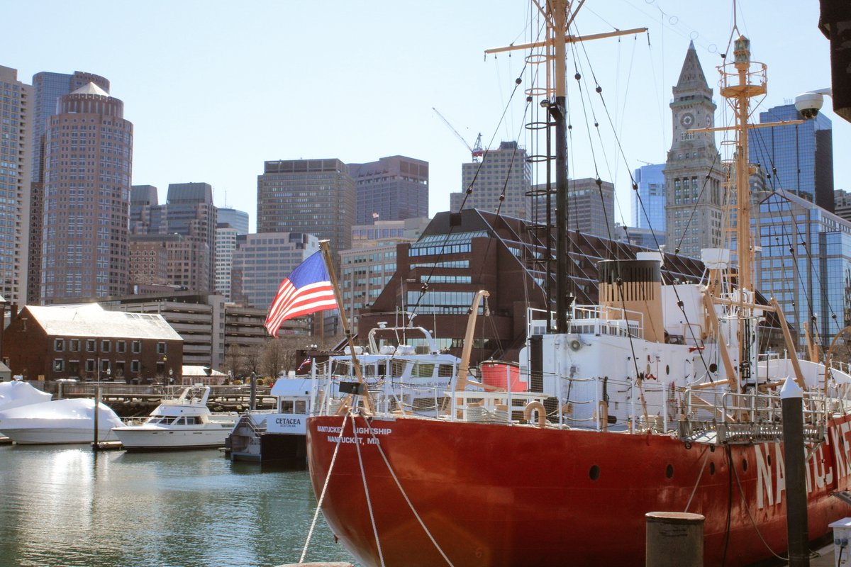 "On this Veterans Day, let us remember the service of our veterans, and let us renew our national promise to fulfill our sacred obligations to our veterans and their families who have sacrificed so much so that we can live free." - Dan Lipinski