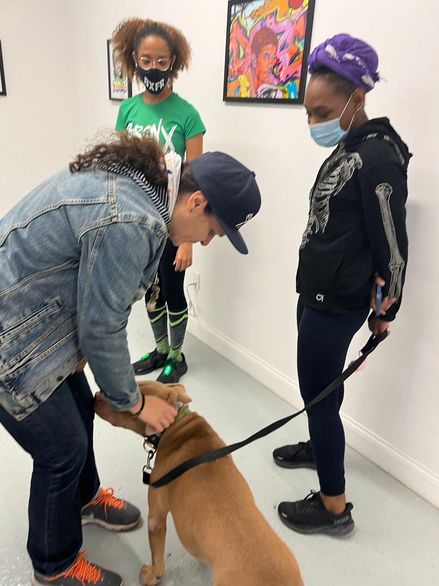 BronxSole's tweet photo. #itgoesdowninthebx #bxs #forbronxitesbybronxites #theboogiedown #boogiedownbronx #theboogiedownbronx #bronxfit #not62 #lovingthebronx #learningthebx #bronxhistory #knowyourhood #keepinitbronx #ahealthybronx #howwebronx #bronxrunning #bronxstrong #kaylove #face2face https://t.co/q3wl1WAj3w