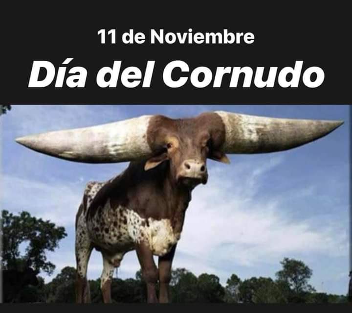 ChechuSarde's tweet image. Feliz Día para mi!!! 🙋🏼‍♀️🤷🏼‍♀️😄😄😄