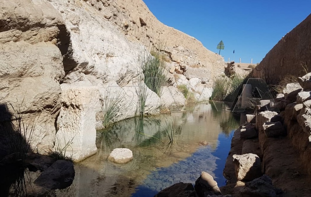 eye_syrian's tweet photo. A Syrian-Russian archaeological team continues the rehabilitation of the historic Afqa spring in #Palmyra.

#Syria #Russia https://t.co/svjXEa65d5