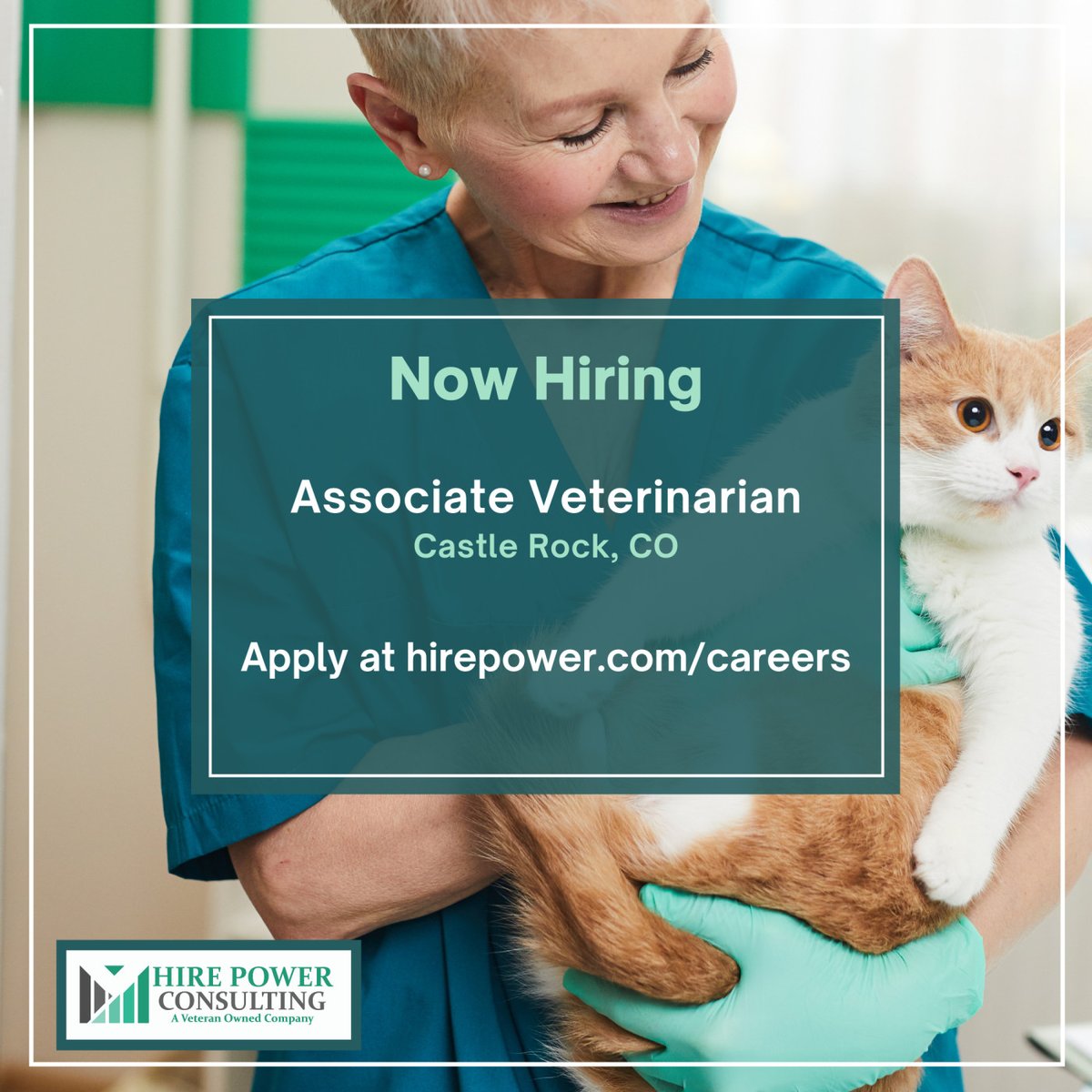 TeamHirePower's tweet photo. Hire Power Consulting has a great opportunity for a small animal #veterinarian in Castle Rock, CO.

Visit https://t.co/6mgauvXgTn to apply.

#hirepower #hirepowerjobs #veterinarymedicine #vetjobs https://t.co/MoCg8ppQVc