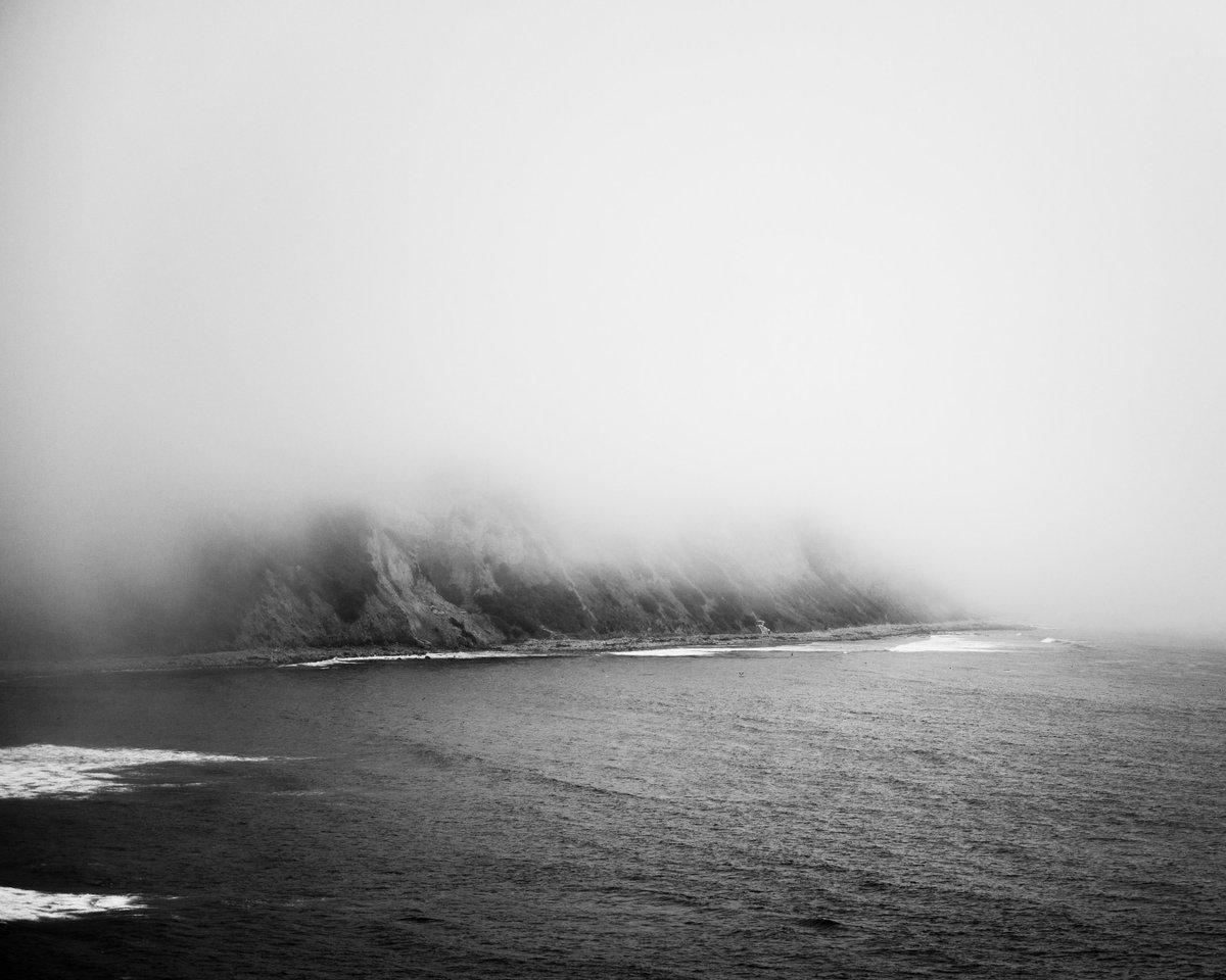 FCEEVIPER🐍🌹 tweet media