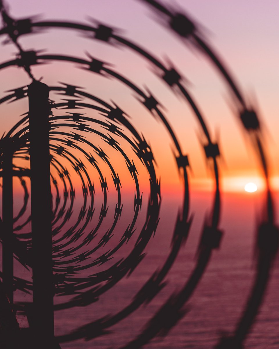 FCEEVIPER🐍🌹 tweet media