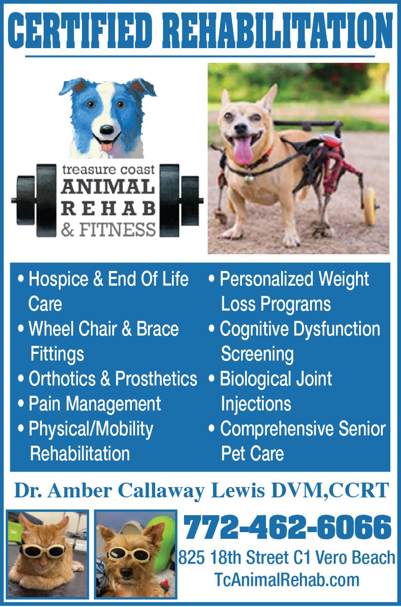 MyLivingMedia's tweet photo. Give your furry friend the best rehabilitative care by visiting @TCAnimalRehab 🐶🩺🐱

#AnimalRehabilitation #AnimalHospice #AnimalOrthotics #AnimalProsthetics #PetRehab #PetRehabilitation #SeniorPetCare #PetWeightLoss #Veterinarian #VeterinaryCare #PetHealthcare #VeroBeach https://t.co/NWaE40rgY3