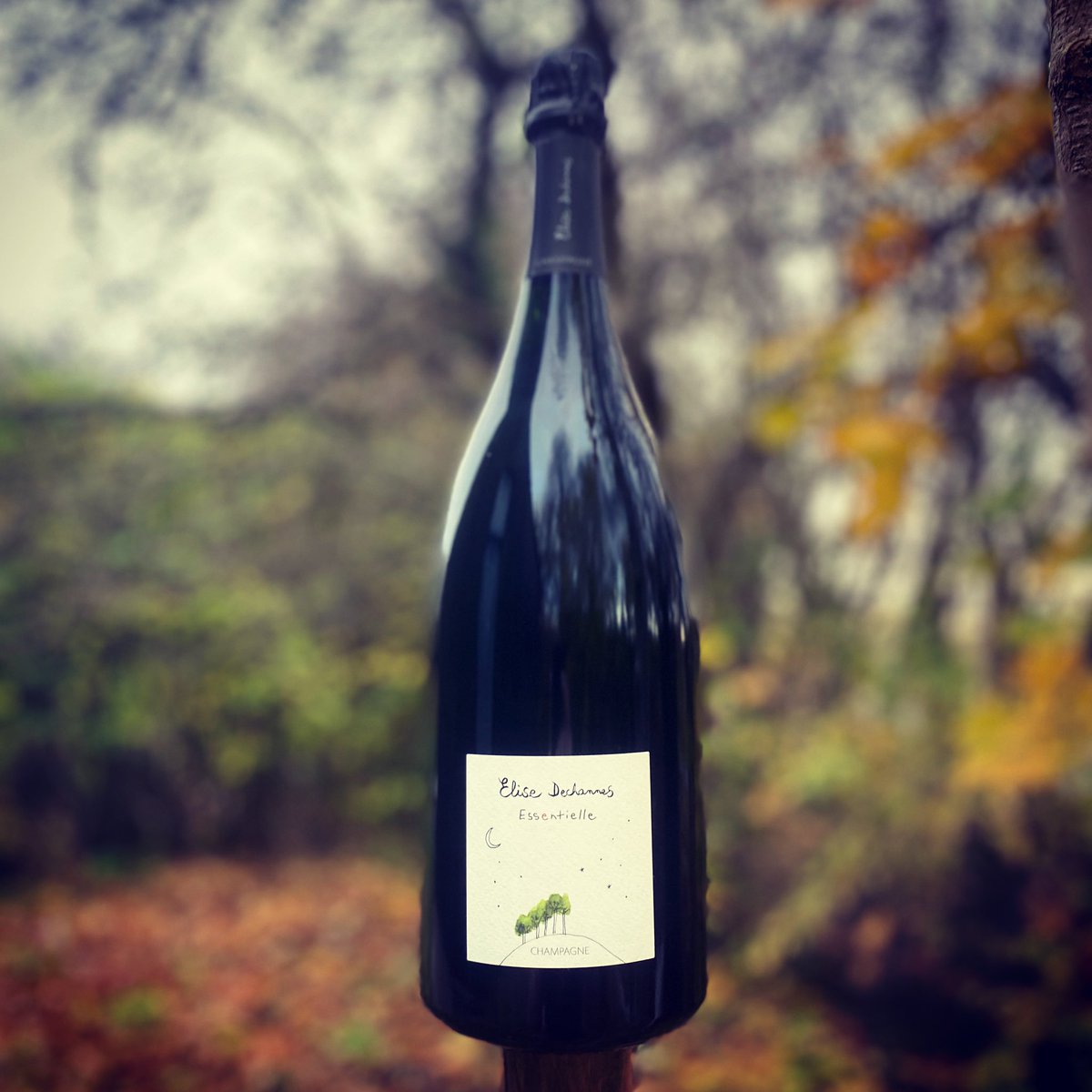 Essentielle 2015 på Magnum!
(17st kvar, 160 producerade)

Av Les Riceys berömda Pinot Noir.
Delikat munkänsla m stor närvaro
Yuzu, exotisk frukt, vit persika – Elegant, välbalanserat, rent och syrligt med ett mjukt och långt avslut.

Pris: 1280:-

Läs mer: winescout.se/produkt/essent…