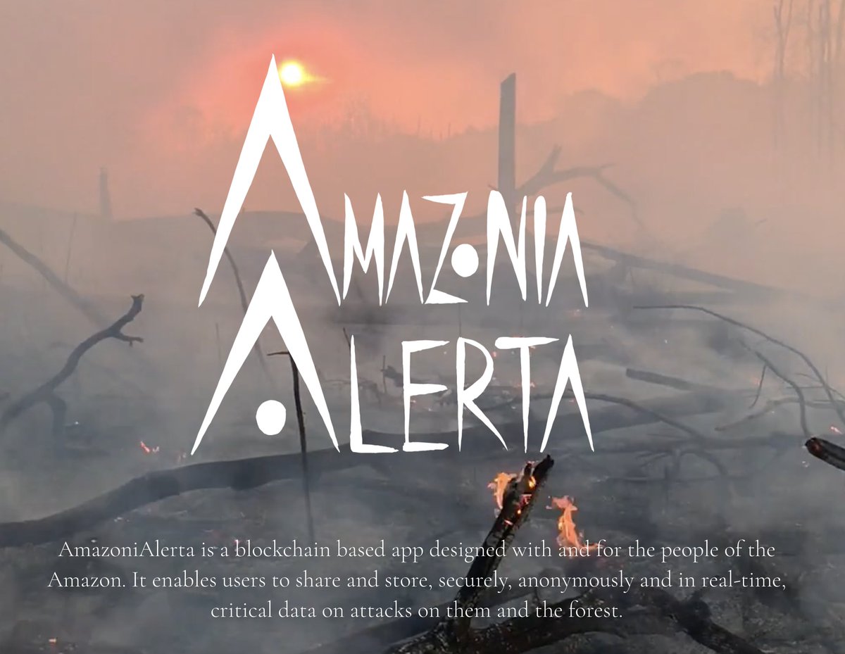 VectorMeldrew's tweet photo. 10% of proceeds from @CULTureCultNFT drop will be donated to @AmazoniAlerta. 

A blockchain based app designed with/for the people of the Amazon. It enables users to share and store, securely, anonymously and in real-time, critical data on attacks on them and the forest https://t.co/yxLCHil7yY