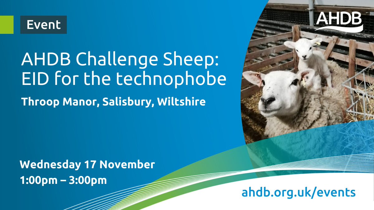 AHDB_BeefLamb's tweet image. Next Wednesday is the final event in our #ChallengeSheep series kindly hosted by Rob &amp;amp; Anna Hawke in Salisbury. Focussing on the use of EID, @Em_the_SheepVet from @SynergyFarmVets will explain how to get the most from it. Register online bit.ly/3ks3NpX @natsheep