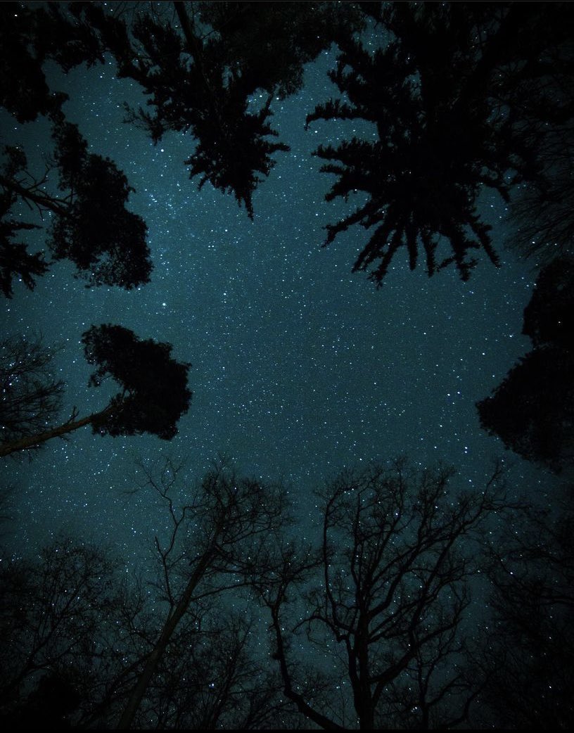Curlyconspira_c's tweet photo. 📣 New Episode! On September 19th, 1961, Betty and Barney Hill were driving home late at night when they discovered they were being followed by a UFO. Tune in to hear all the details on the most notable abduction stories in our history. @DarkcastNetwork 

https://t.co/BE4hWdGrGI https://t.co/f86TnJVt8t