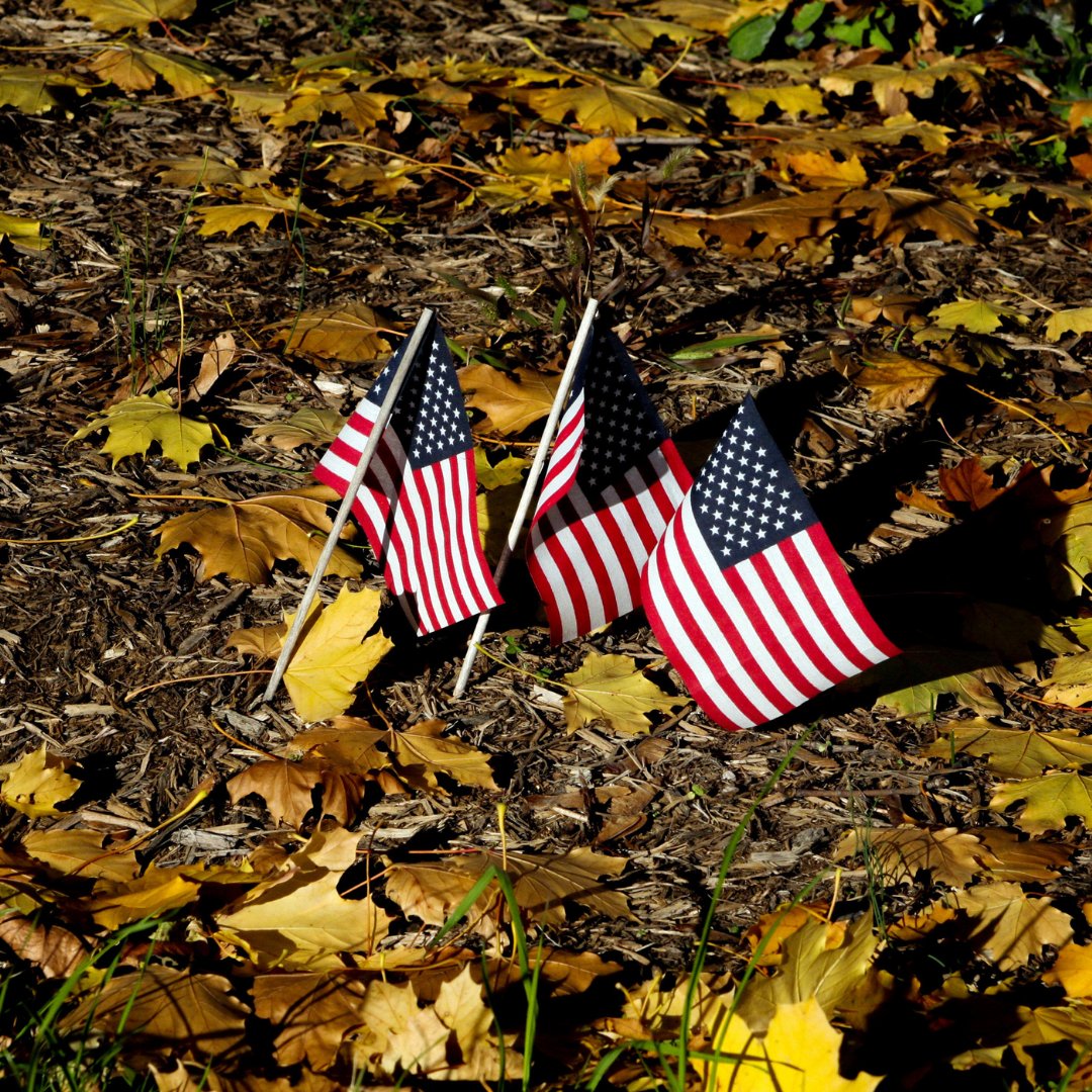 Today we thank and honor all the men and women who fought, and continue to fight, so we can get outside and enjoy our trails. Happy Veterans Day!🇺🇸