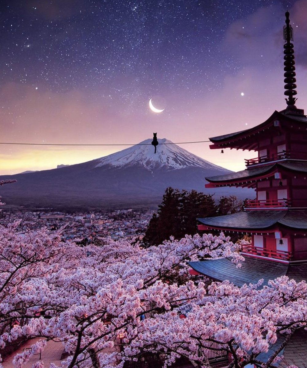 ramblingsloa's tweet photo. Breathe and let be.

Jon Kabat Zin
Pic Nois7 https://t.co/8x62KwlyjO