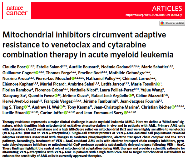 jeansarry's tweet photo. Intensively happy to share our newest study uncovering #mitochondrial adaptation as mechanism of response and #resistance to #BCL2 inhibitor combination in #AML #leukemia @NatureCancer. 
Congratulations to our amazing PhD student Claudie Bosc and all co-authors. https://t.co/nvsE4RVuBD