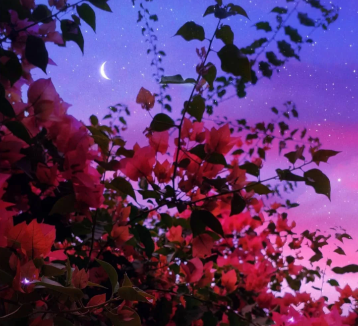 loveprincesstea's tweet photo. Пусть твоя подушка будет мягкой, а сон долгим и здоровым. Волшебных снов🪄✨. https://t.co/P0qop3yxod