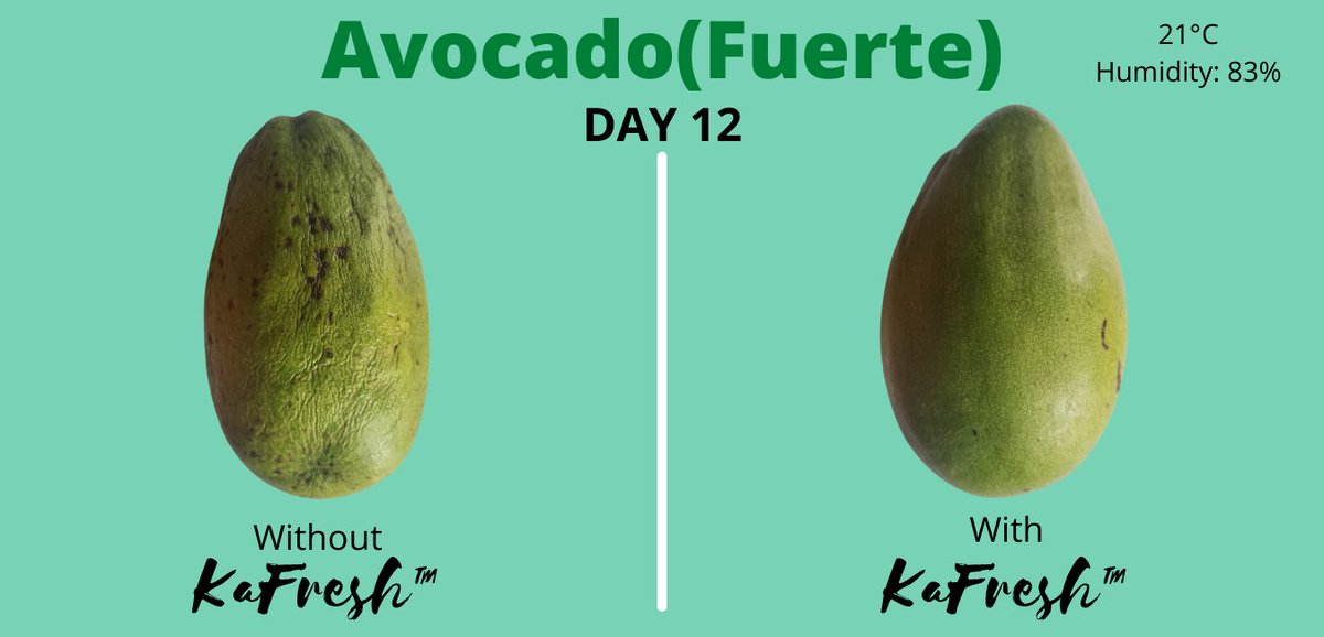 Thank you @NaseUG  and <a href="/UNDPUganda/">UNDP Uganda</a> for selecting our idea to be among the 100 winners represented by <a href="/JeanNageri/">Jean-Paul Beans Nageri</a>. We're on a mission to eliminate food waste in Uganda and across Africa using plant extracts #siovalleytechnologies #Biotechnology #zerowaste #SDG12