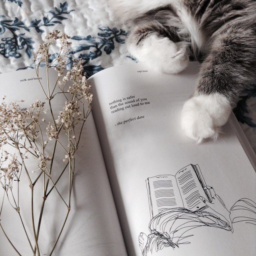 loveprincesstea's tweet photo. Среда, 17 ноября 2021.
Готовы ли вы к новому дню? Я не знаю готова ли я. Честно сказать я чувствую себя неуютно, даже не понимаю от чего. 
Поэтому у меня возник к вам такой вопрос. Что вдохновляет тебя? Что даёт уверенность, что этот день удастся? https://t.co/RkWRGufRHU