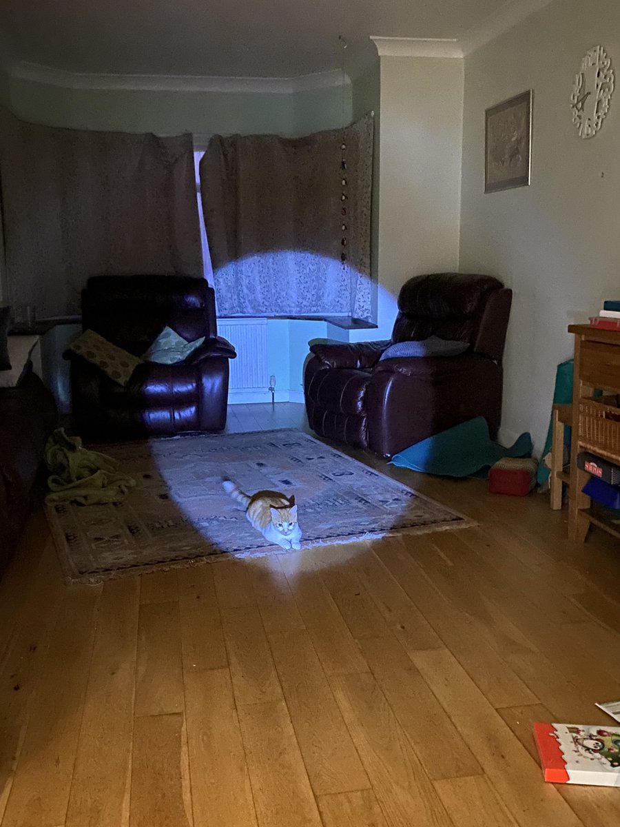 wheatskins_'s tweet photo. 🎵 wellll wellll look who's inside again 🎵 https://t.co/7I33TblRCb