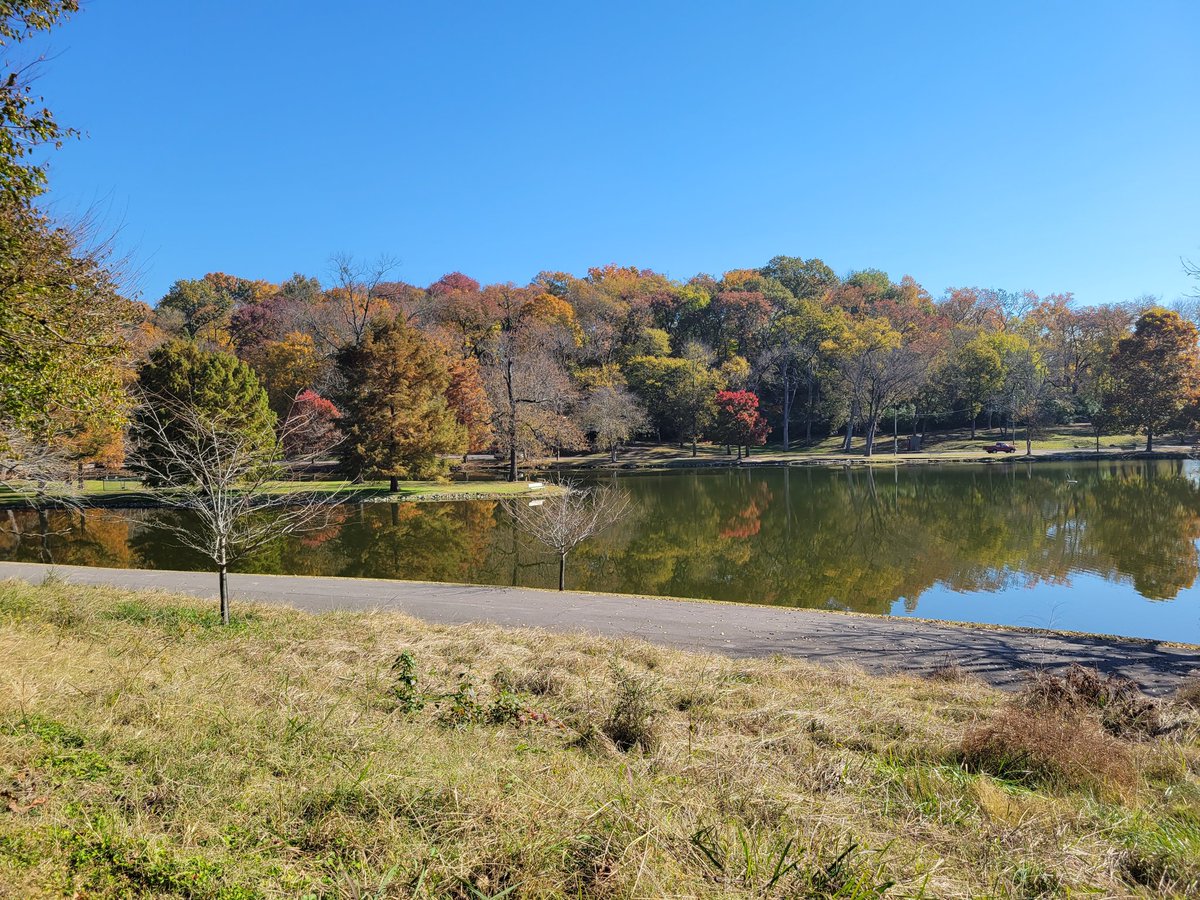 MomMusic's tweet photo. #FallWalk
#Download https://t.co/4aN97U900B