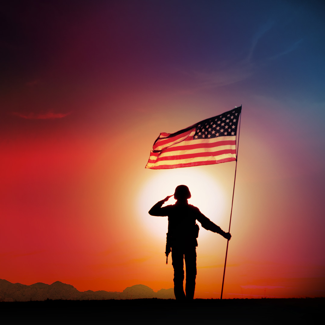 Teledyne FLIR and Extech salute the courage of our national heroes on this Veterans Day.
