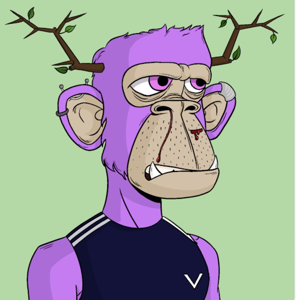 0xraviolo's tweet photo. The Apes love the ⚽️ vision 

FOOTBALL X APES #NFTGiveaway 

Giving away 1 ape and 1 🍌🔫 to 1 winner in the next 48 hours!

Rules:
⚽️RT &amp; Like both tweets
⚽️Follow @GreatApeSociety and @NFTFC21 
⚽️Get in https://t.co/RBJ2kduv2l &amp; introduce yourself! https://t.co/JLHfDackLo